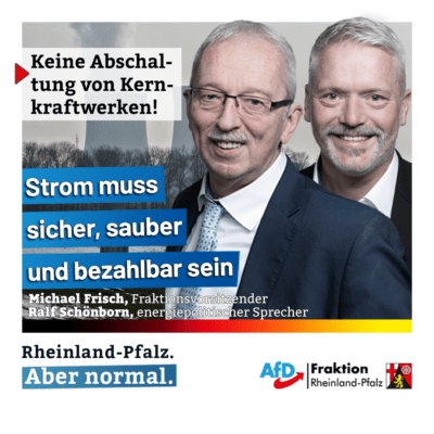 Michael Frisch und Ralf Schönborn zur Abschaltung der deutschen Atomkraftwerke